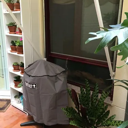 公寓 Amazing In Center *